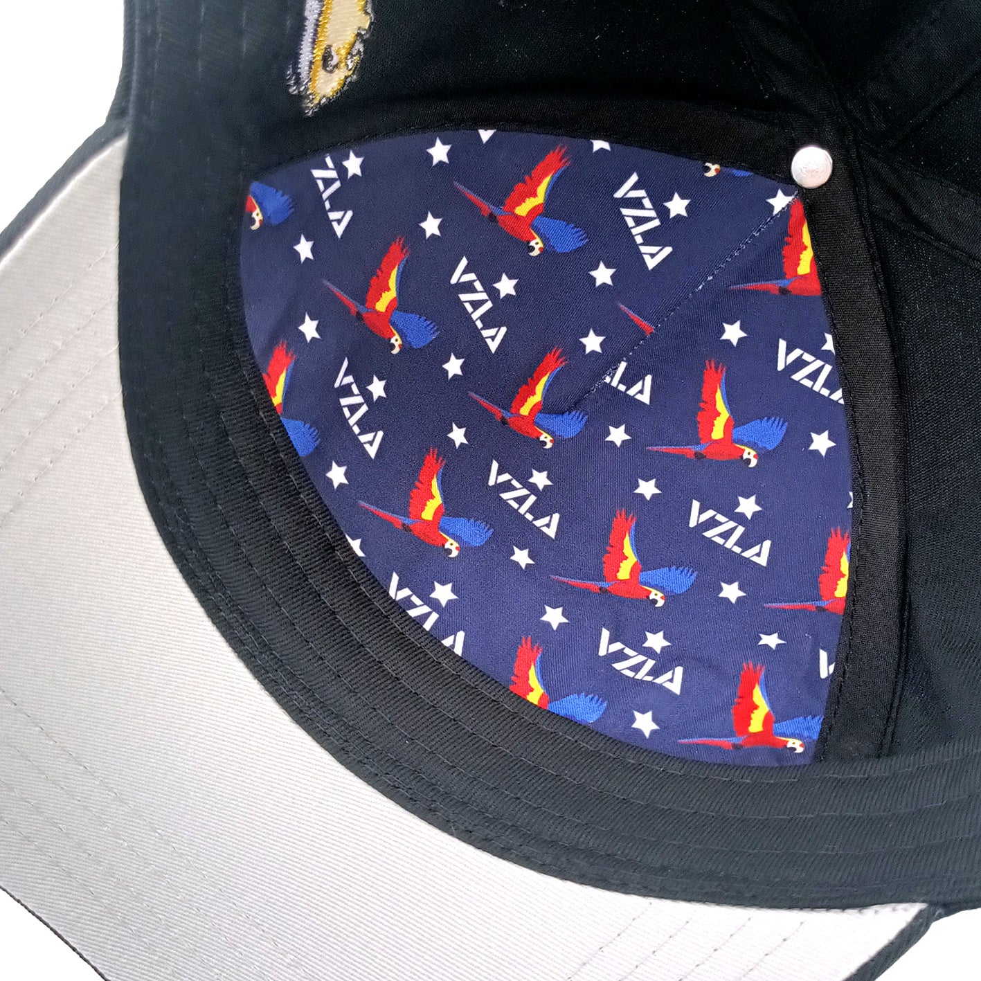 Gorra VZLA x DMC I #240906